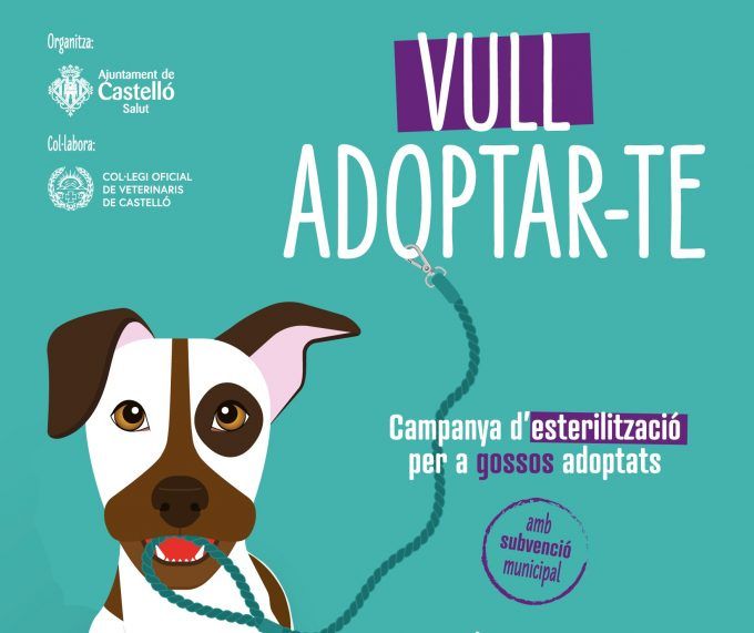 vull adoptar-te cartell