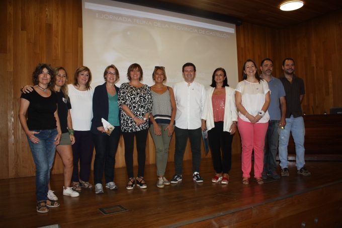 050919 Jornada felina