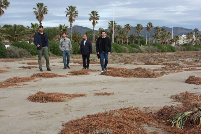 290120 Garcia Navarro visita neteja litoral (2)