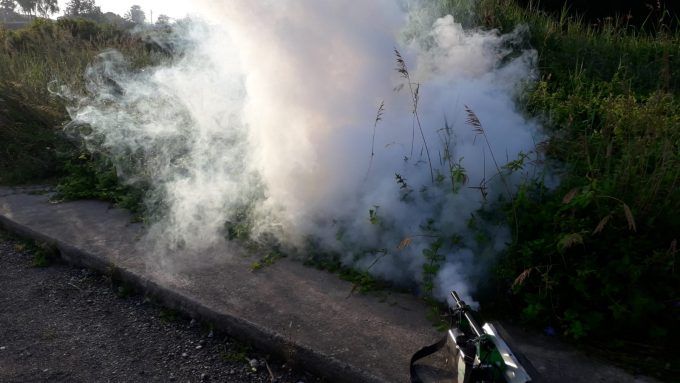 tractamentmosquits-7