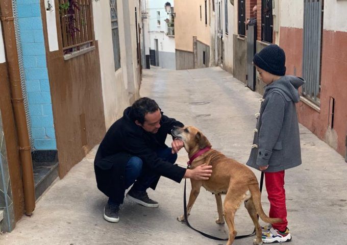 PERROS_01