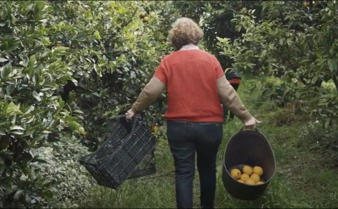 Agricultura