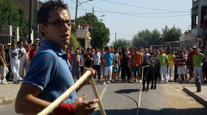 Santa Barbara bou corda burriana