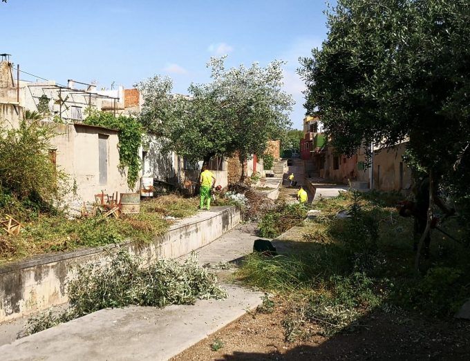 Almassora limpieza agrícola