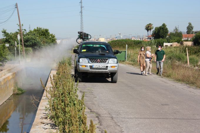 trabajos prevencion mosquitos