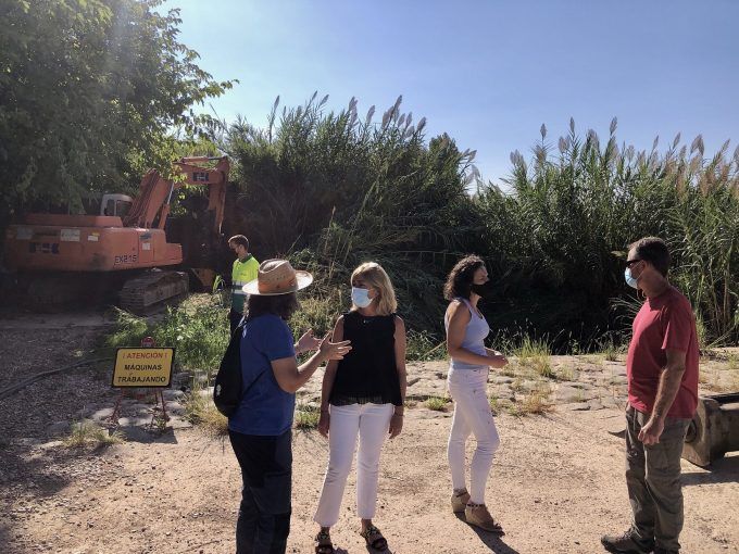 Almassora retirada cañas