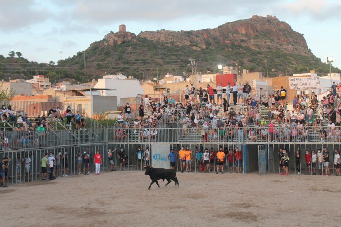 almenara toros aecc almenara toros aecc