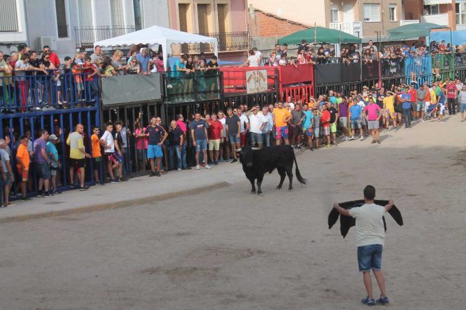 bous per la vila almenara toros bous per la vila almenara toros