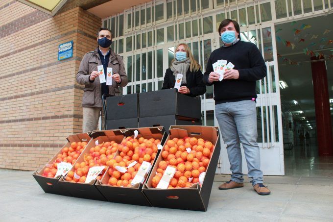 reparto clemenules La Plana coles Burriana (2)