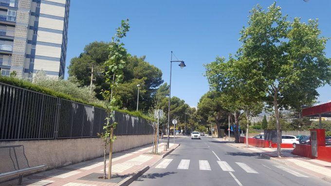 arbolado benicassim