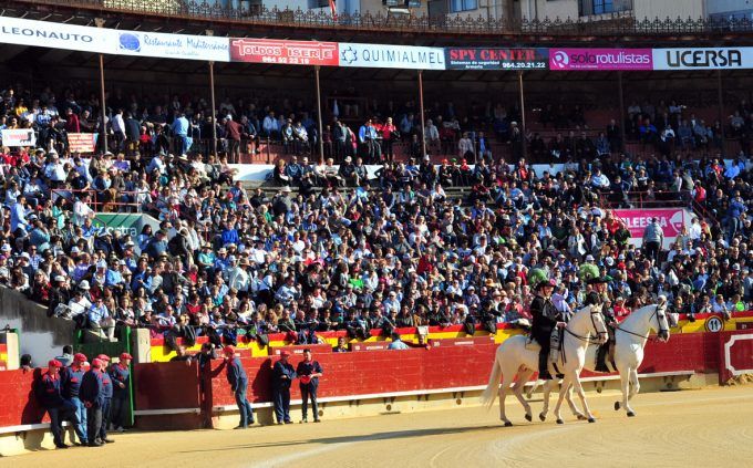 toros plaza de toros castellin
