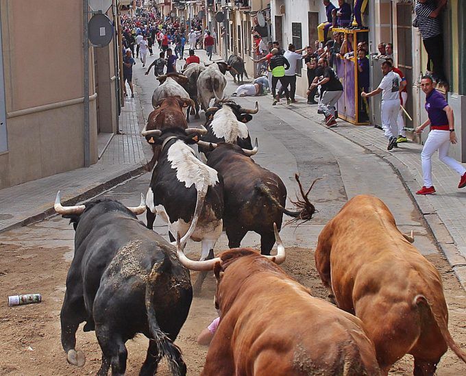 Almassora encierro toros
