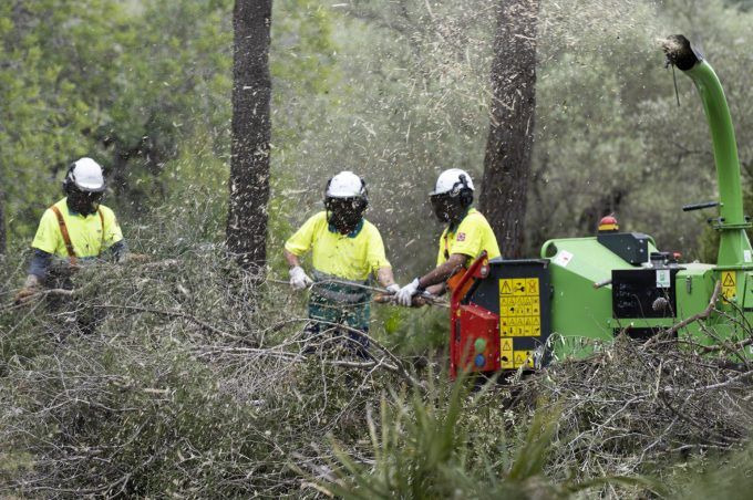 incendios prevencion