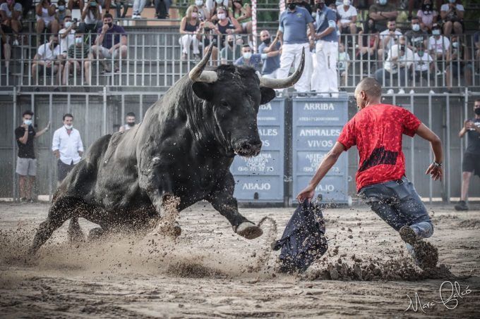 toros vila-real mar balcó
