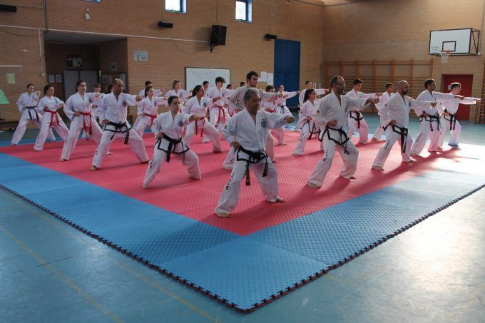 Taekwondo (1)