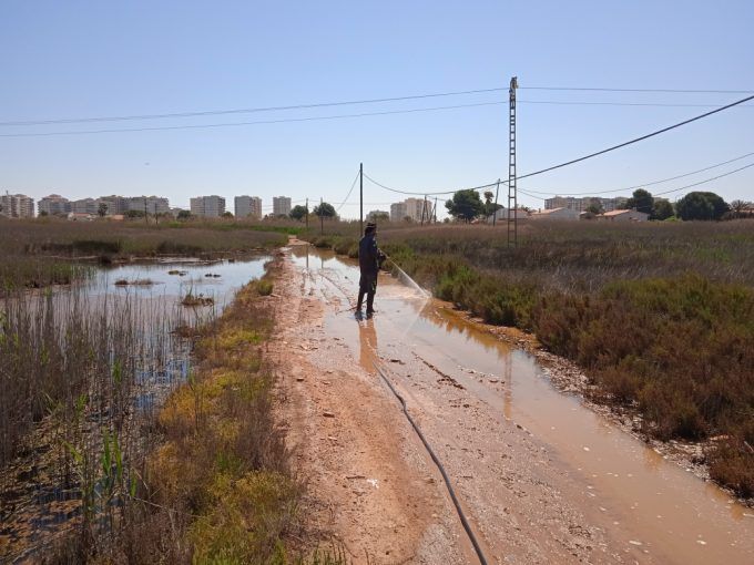 tratamientos mosquitos benicassim