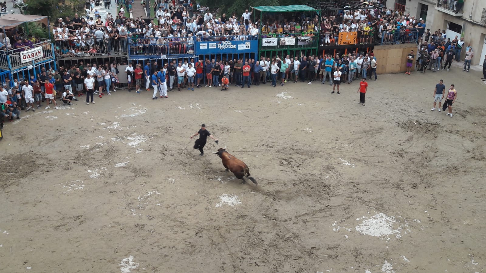 Bous per la Vila borriana 2019- 3 toros