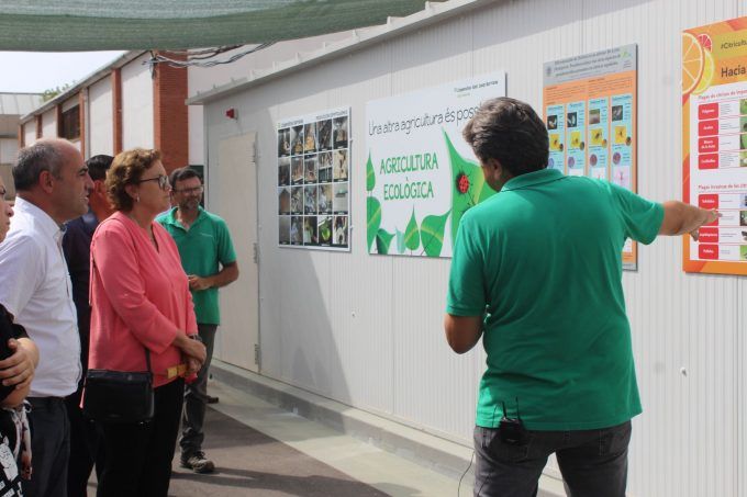 Inauguració insectari borriana