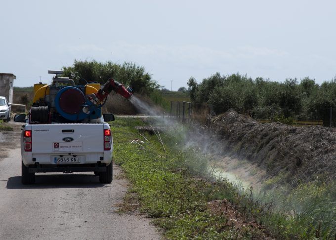 mosquitos provincia castellon