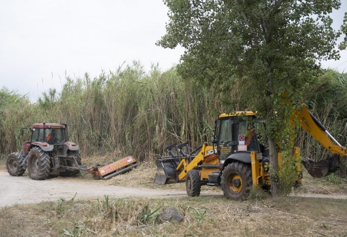 mantenimiento forestal castellon