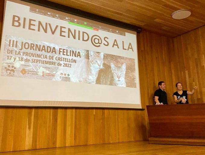 Ignasi Garcia Jornadas Felinas