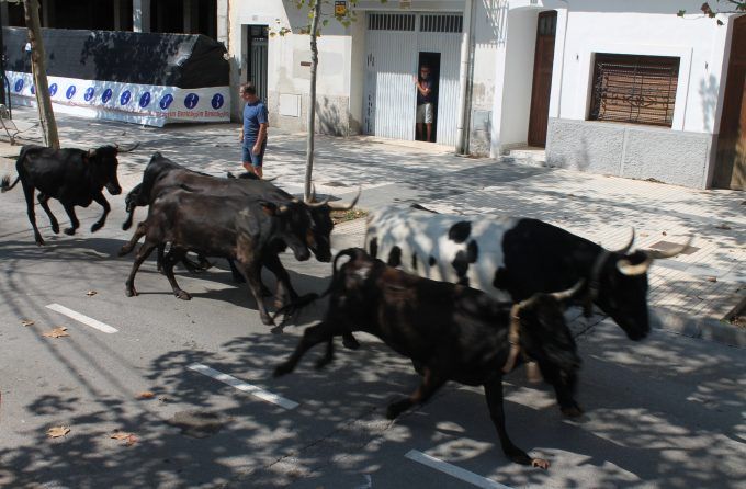 toros benicassim