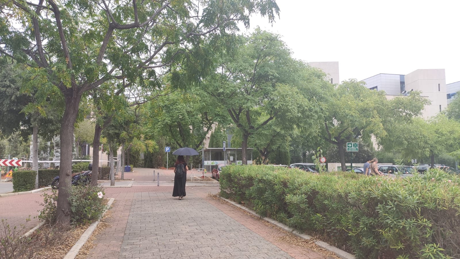 Lluvia en Castellón