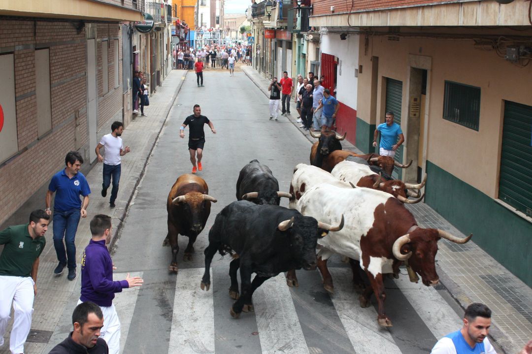 toros almassora roser