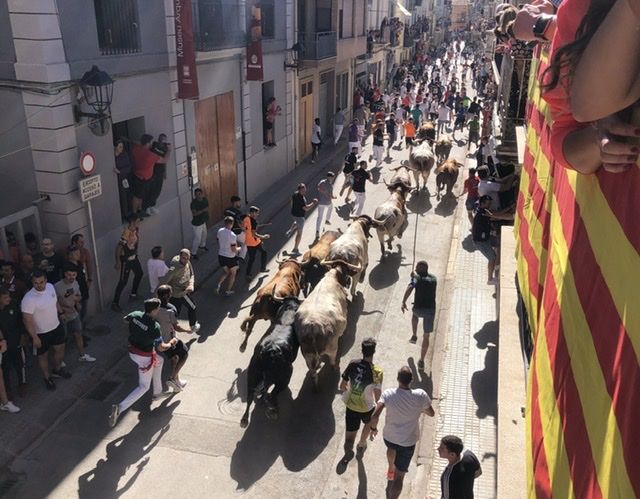Toros en Almassora