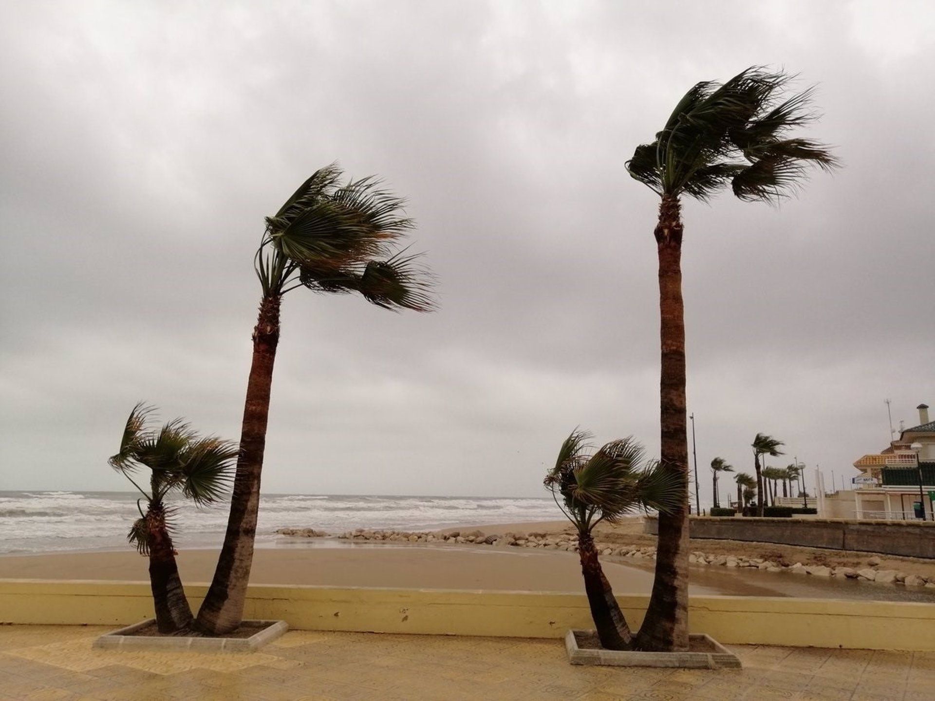 Viento en el litoral
