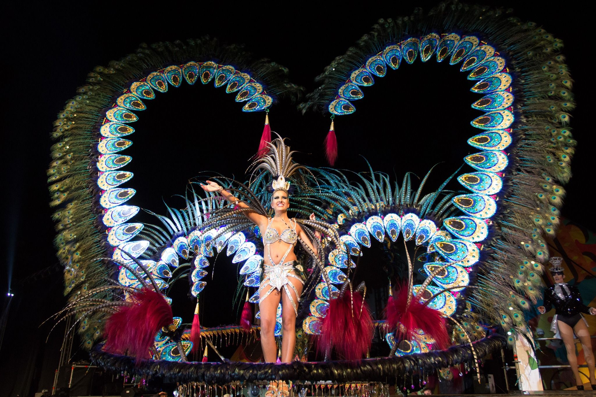 Gran Gala de Reines i Reis del Carnaval de Vinaròs