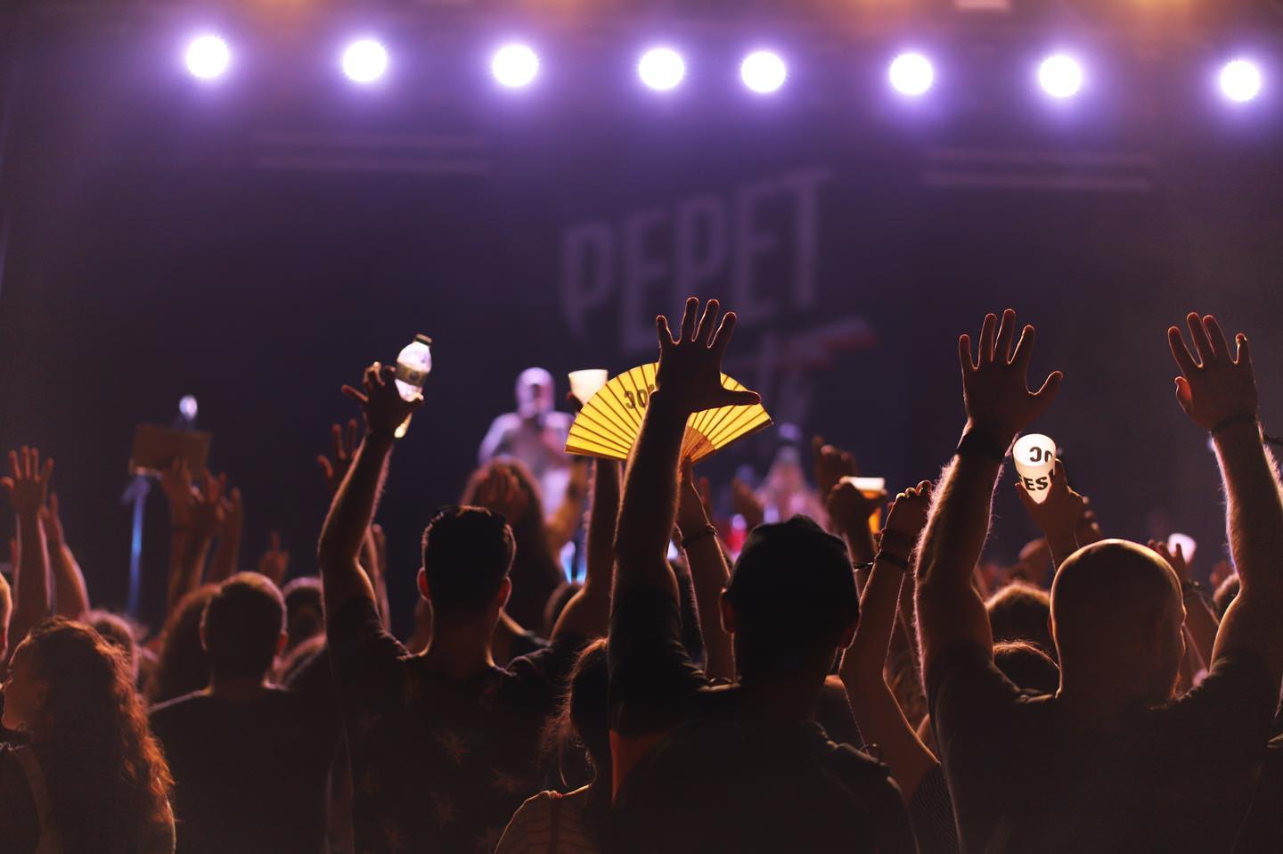 Concerts del Pinar