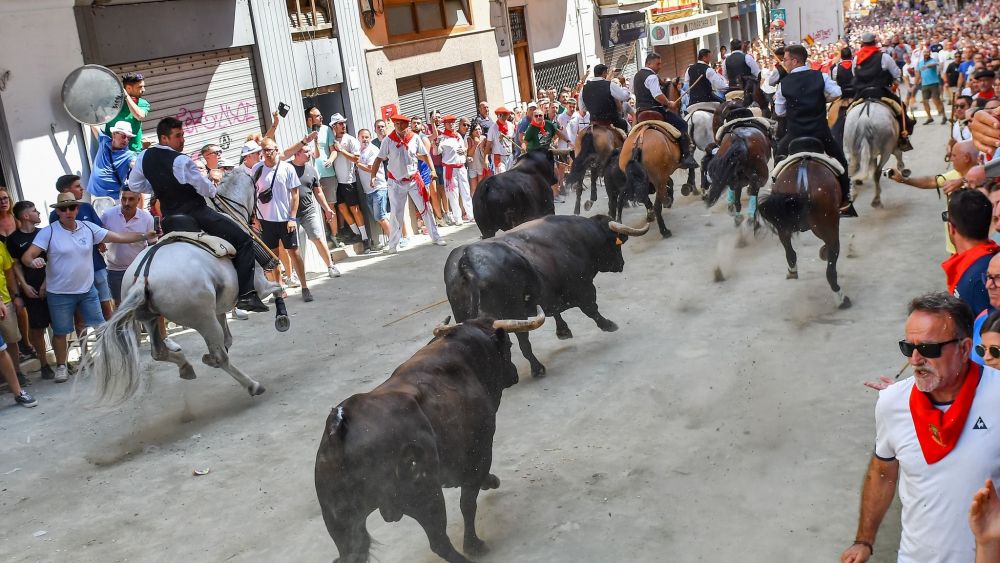 Entrada de Bous i Cavalls de Sogorb