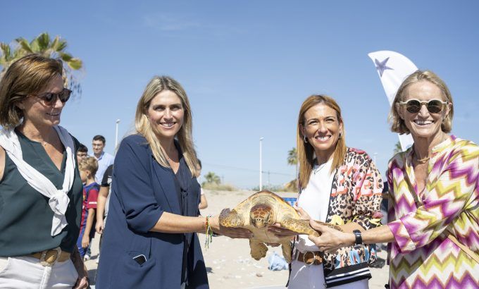 Suelta Tortuga (1)