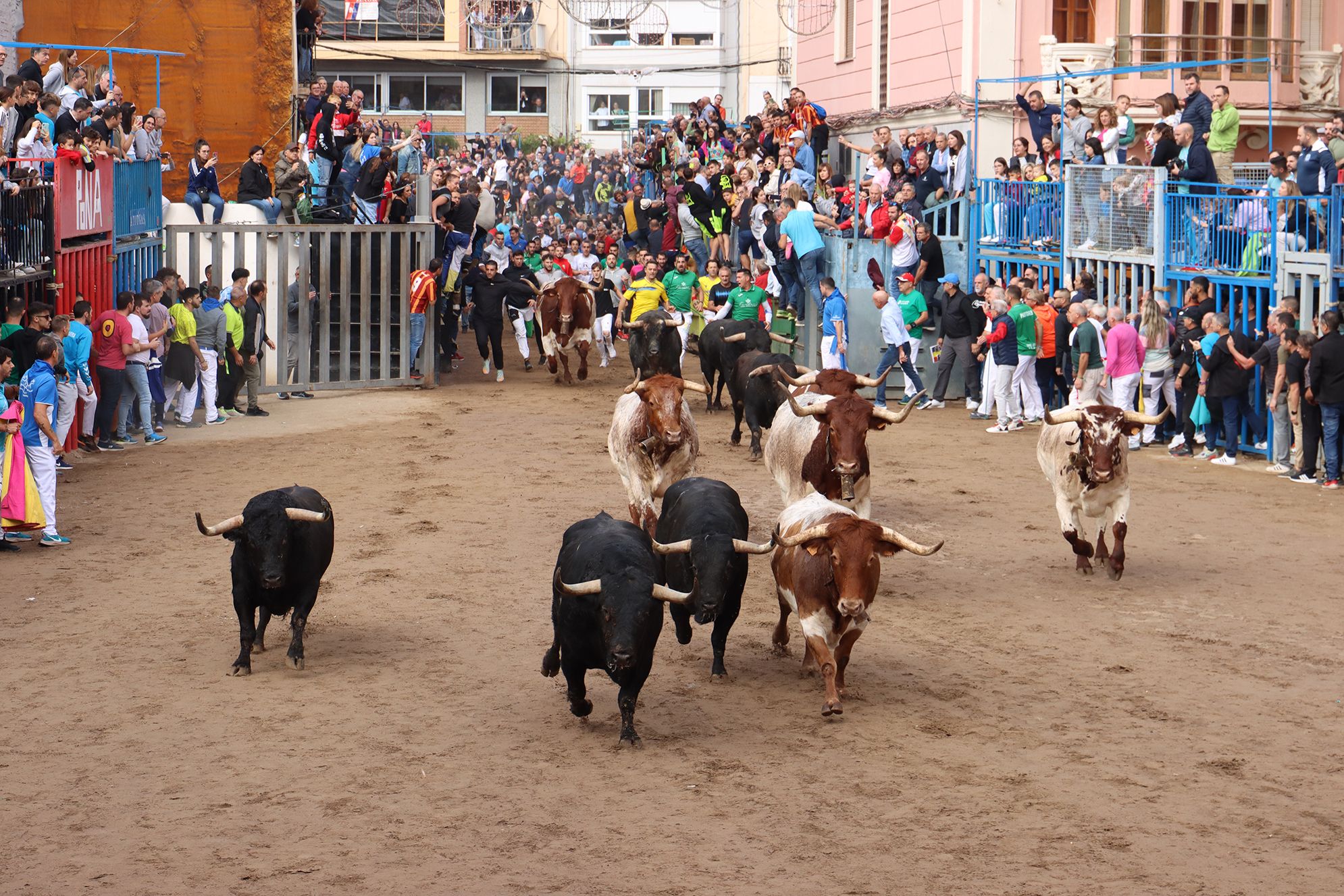 Bous a la Fira d'Onda