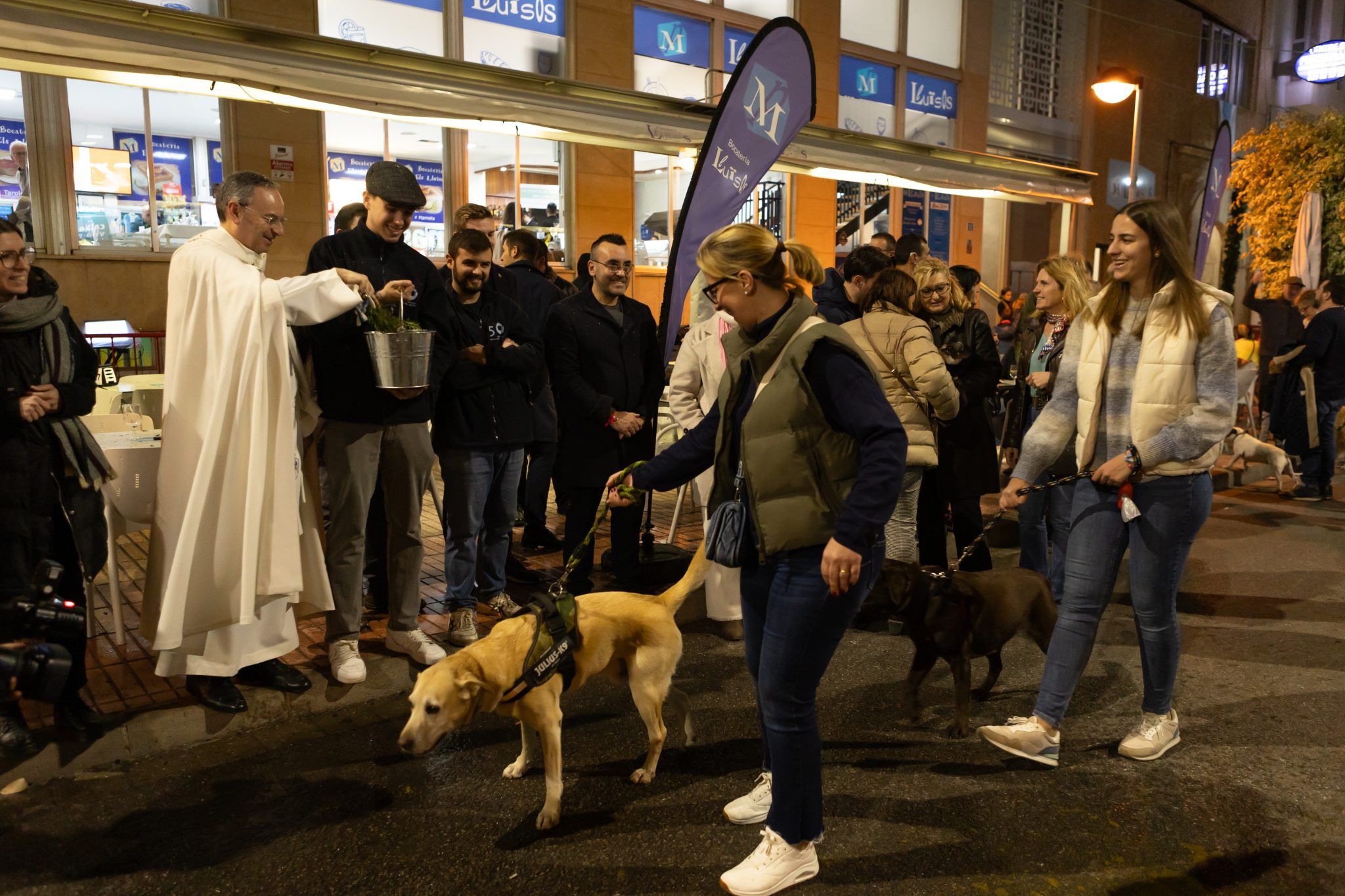 Matxà de Sant Antoni Vila-real