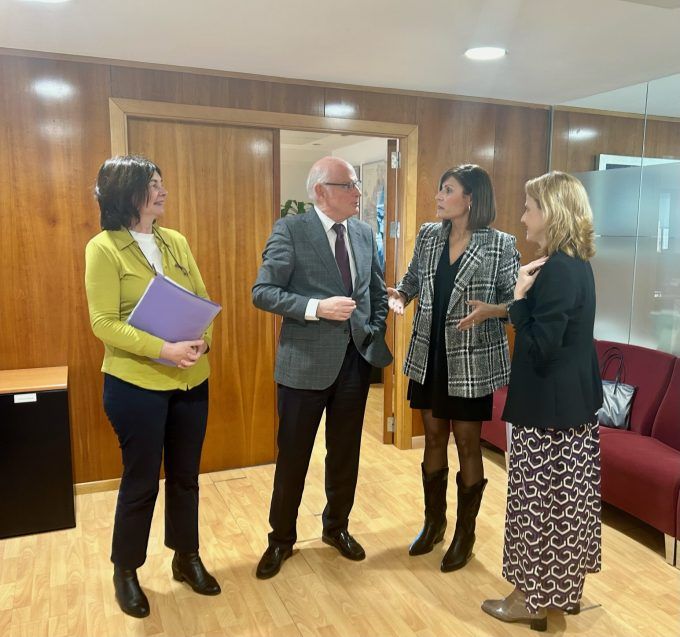 María Ángeles Pallarés - reunión Labora María Ángeles Pallarés - reunión Labora