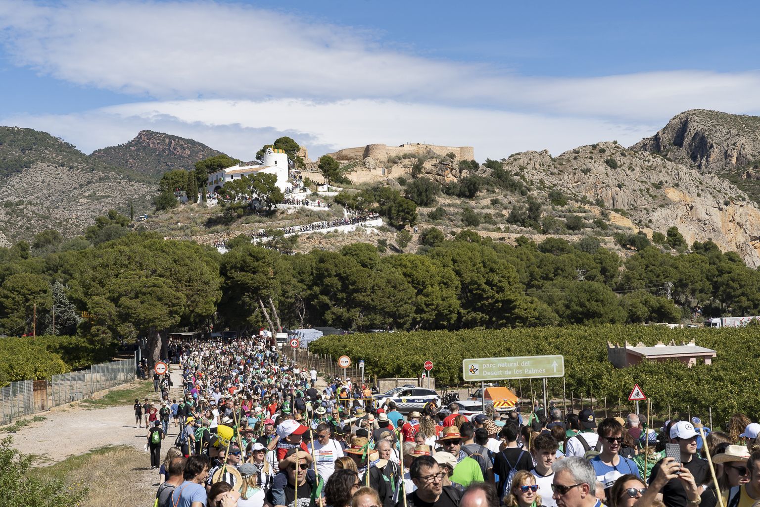 Romeria de les canyes magdalena (Xisco Navarro)