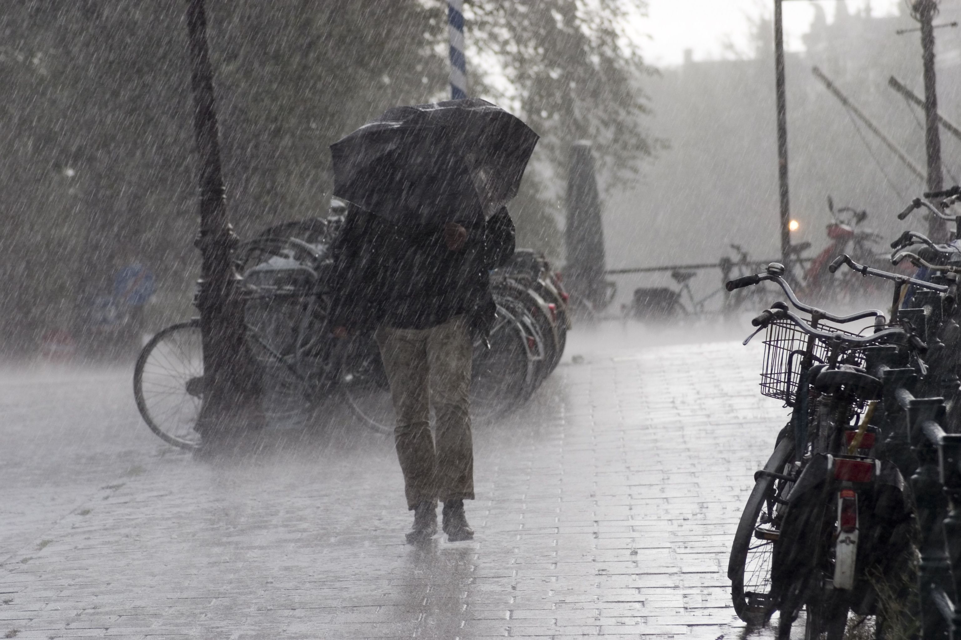 Una xica camina pel carrer refugiant-se de la pluja sota el paraigua
