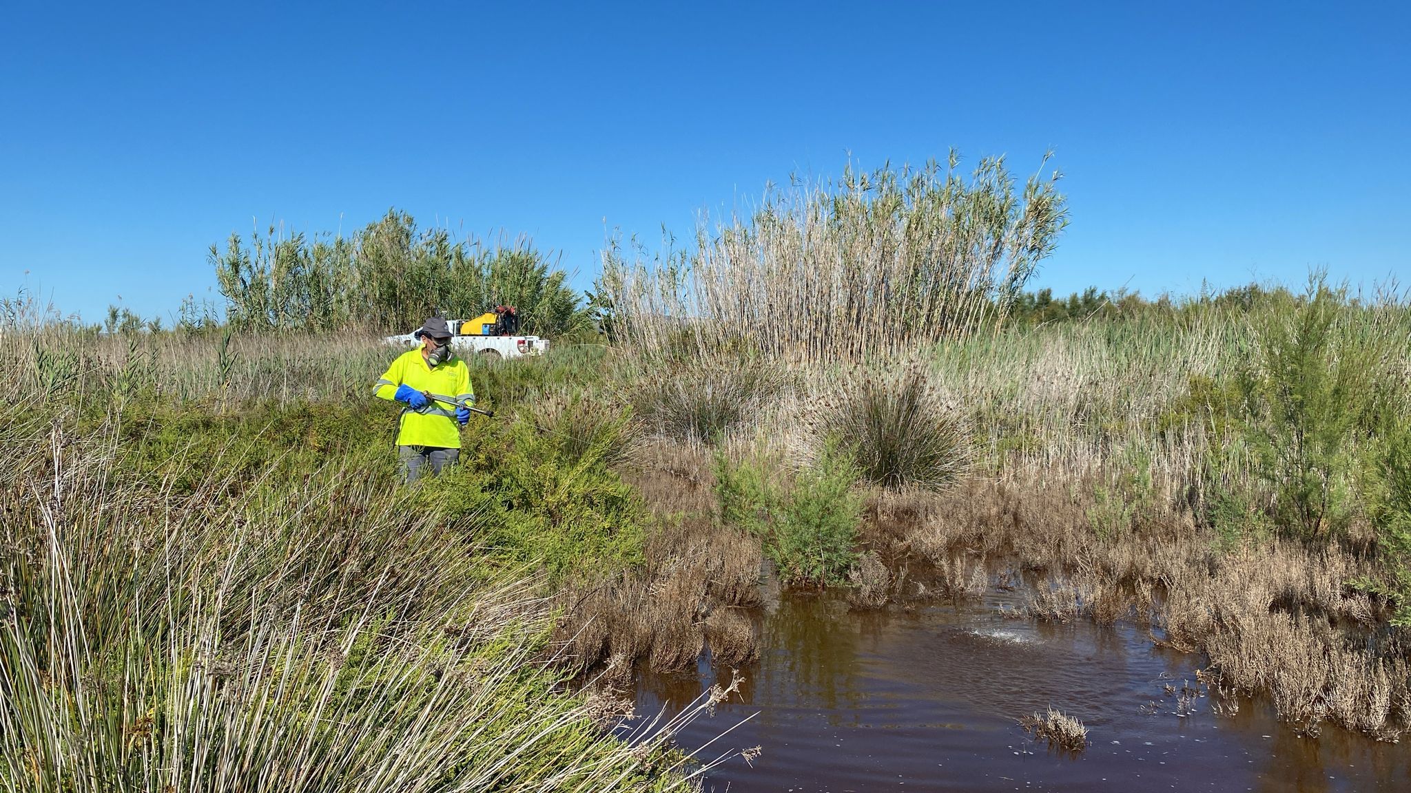 Un operario realiza un tratamiento contra mosquitos en la provincia de Castellón