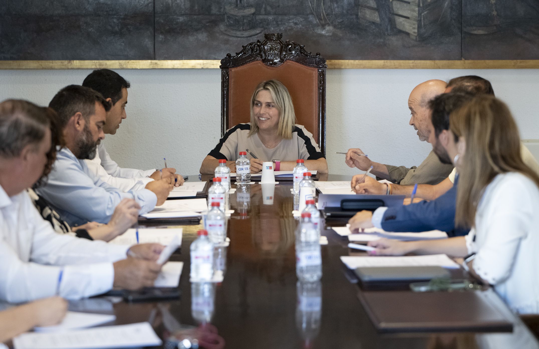 Junta de Govern de la Diputació de Castelló
