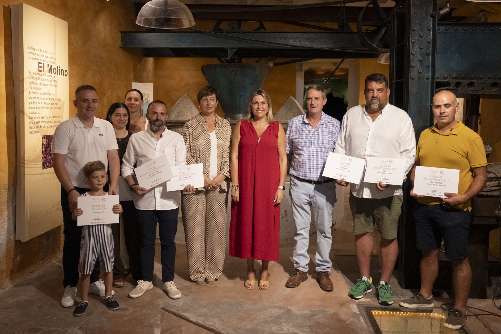 Premis AOVE de la Diputació de Castelló