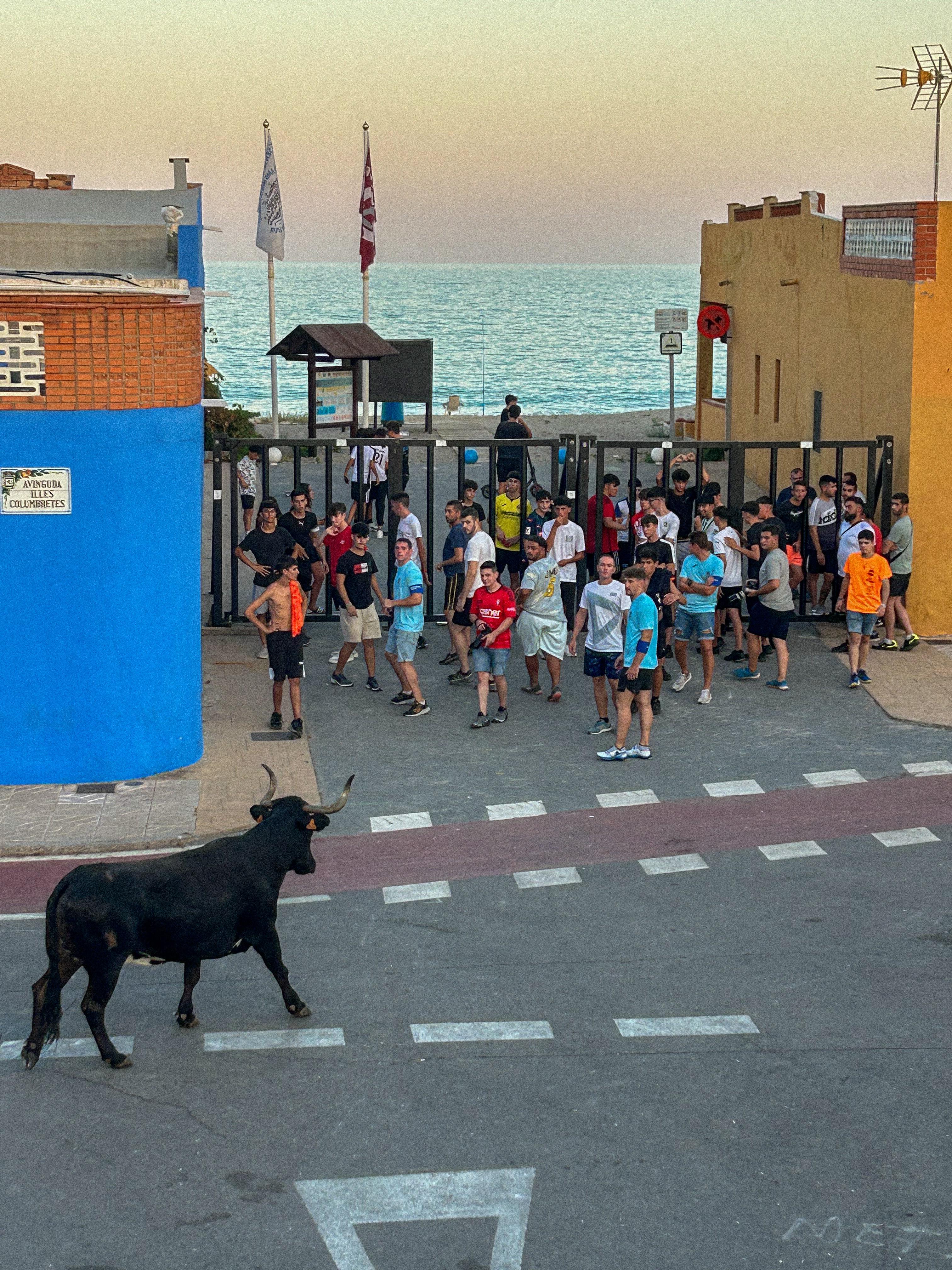 Festes de Nules
