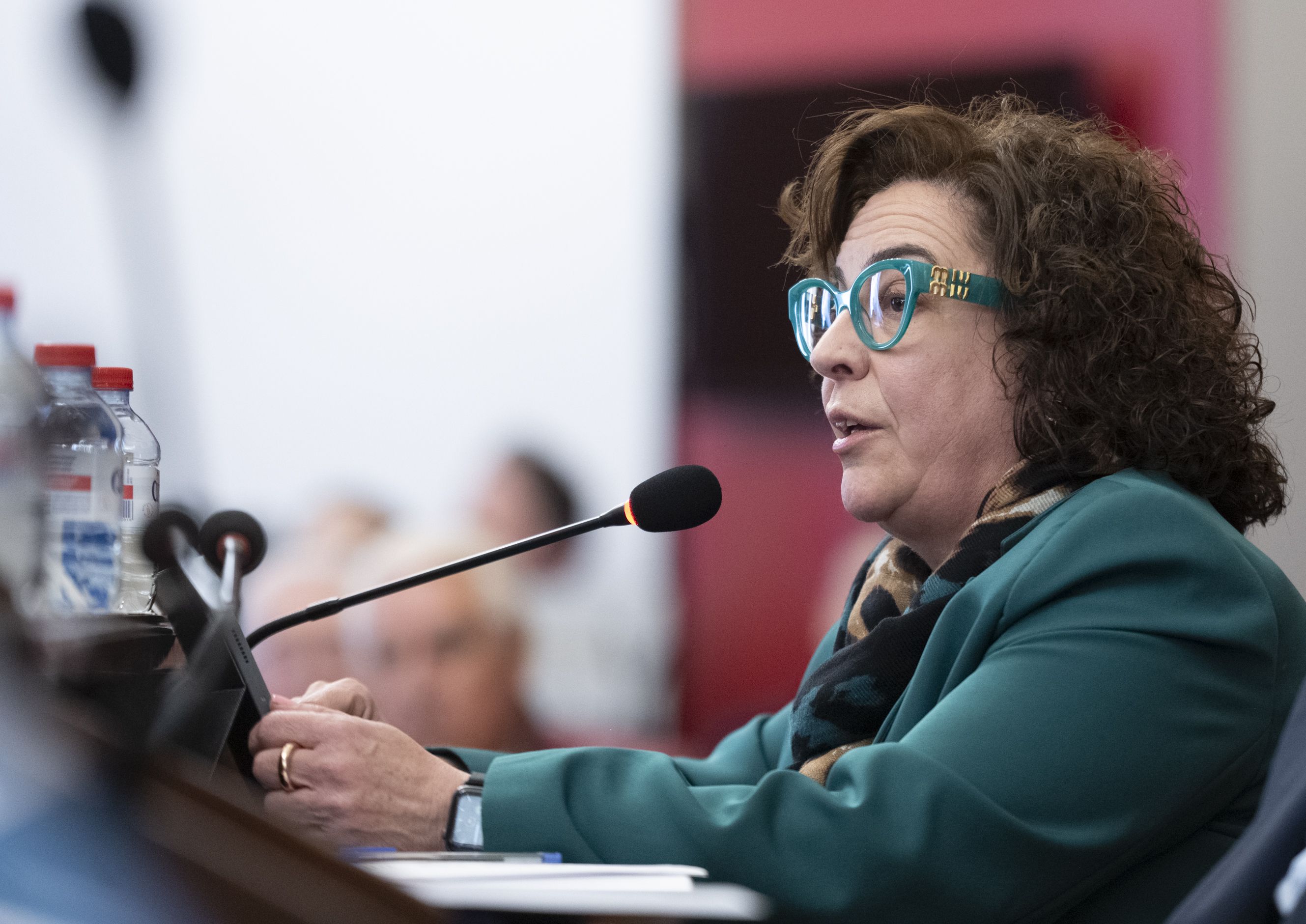 La diputada de Igualdad Marisa Torlà