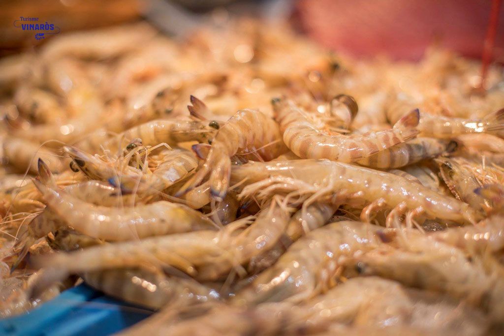 Llagostins de Vinaròs