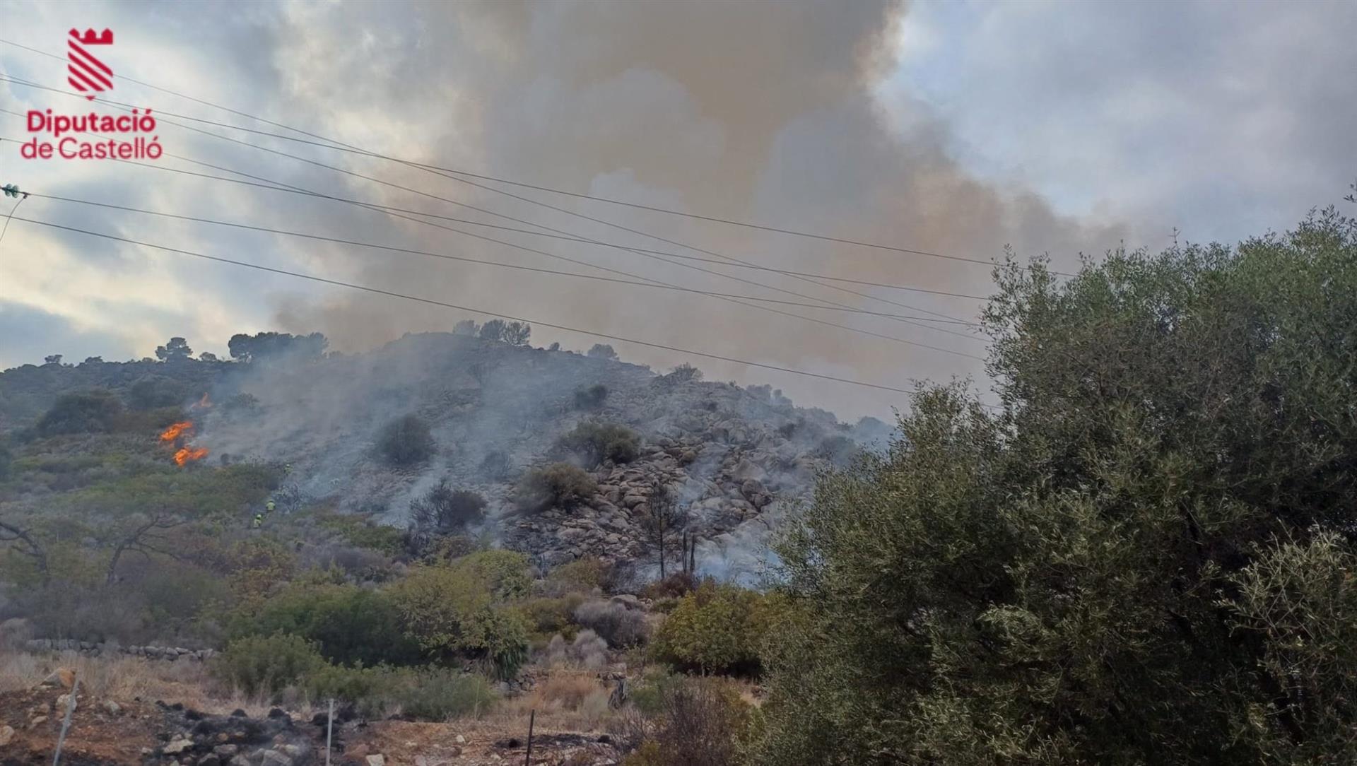 Incendio forestal en Oropesa