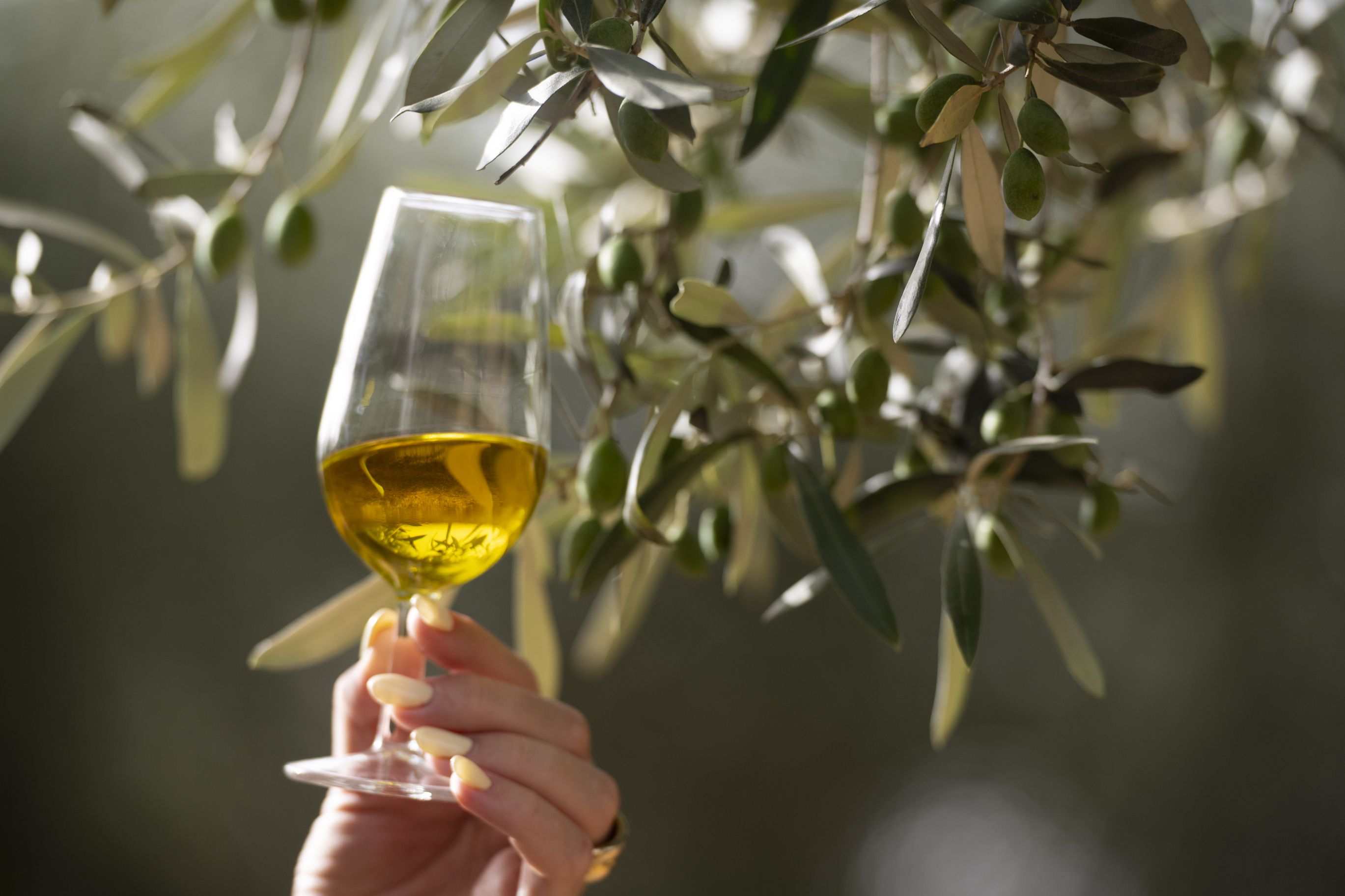Una copa de aceite de oliva virgen extra 
