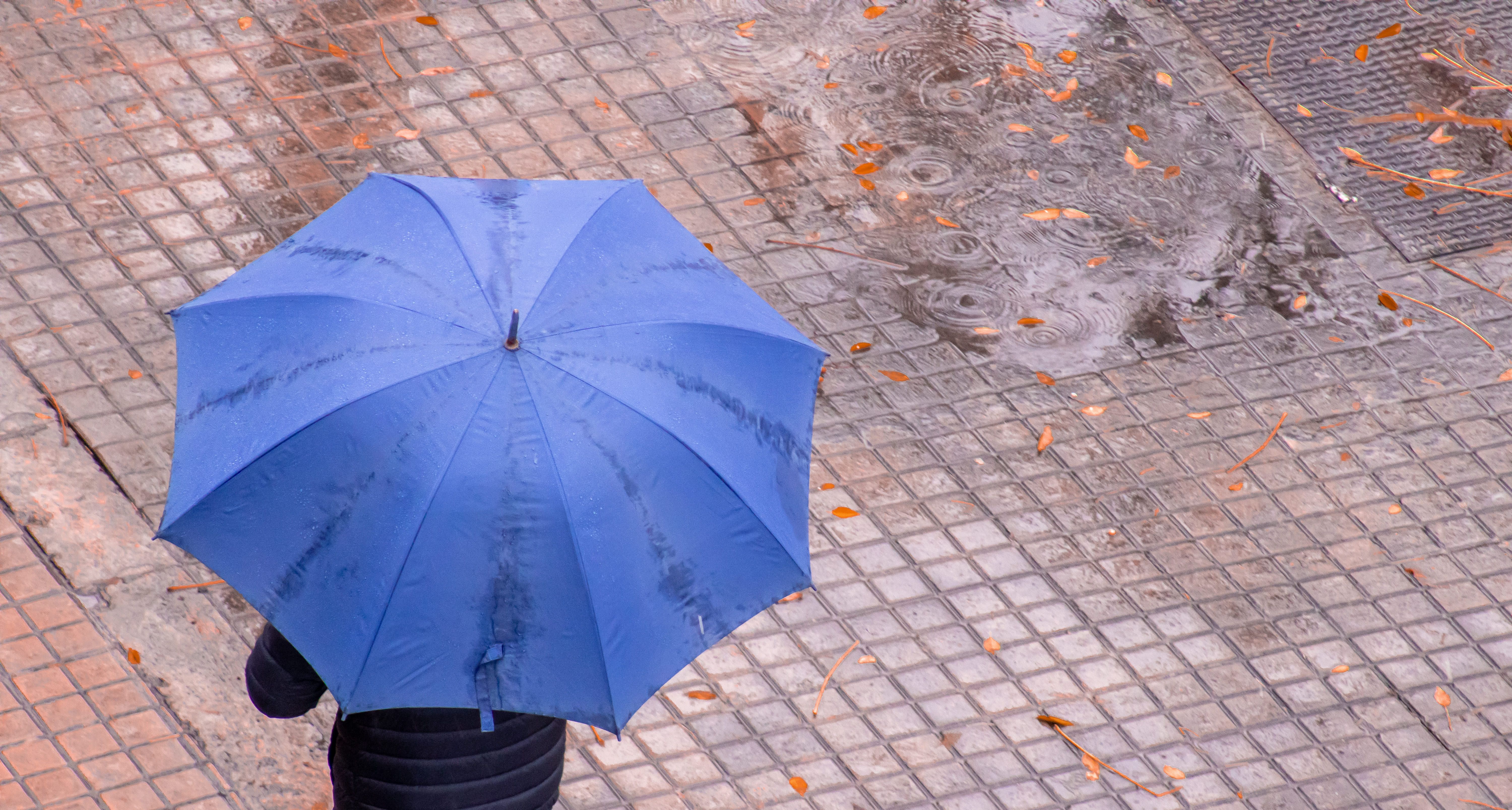 Una persona camina amb un paraigua baix la pluja a Castelló