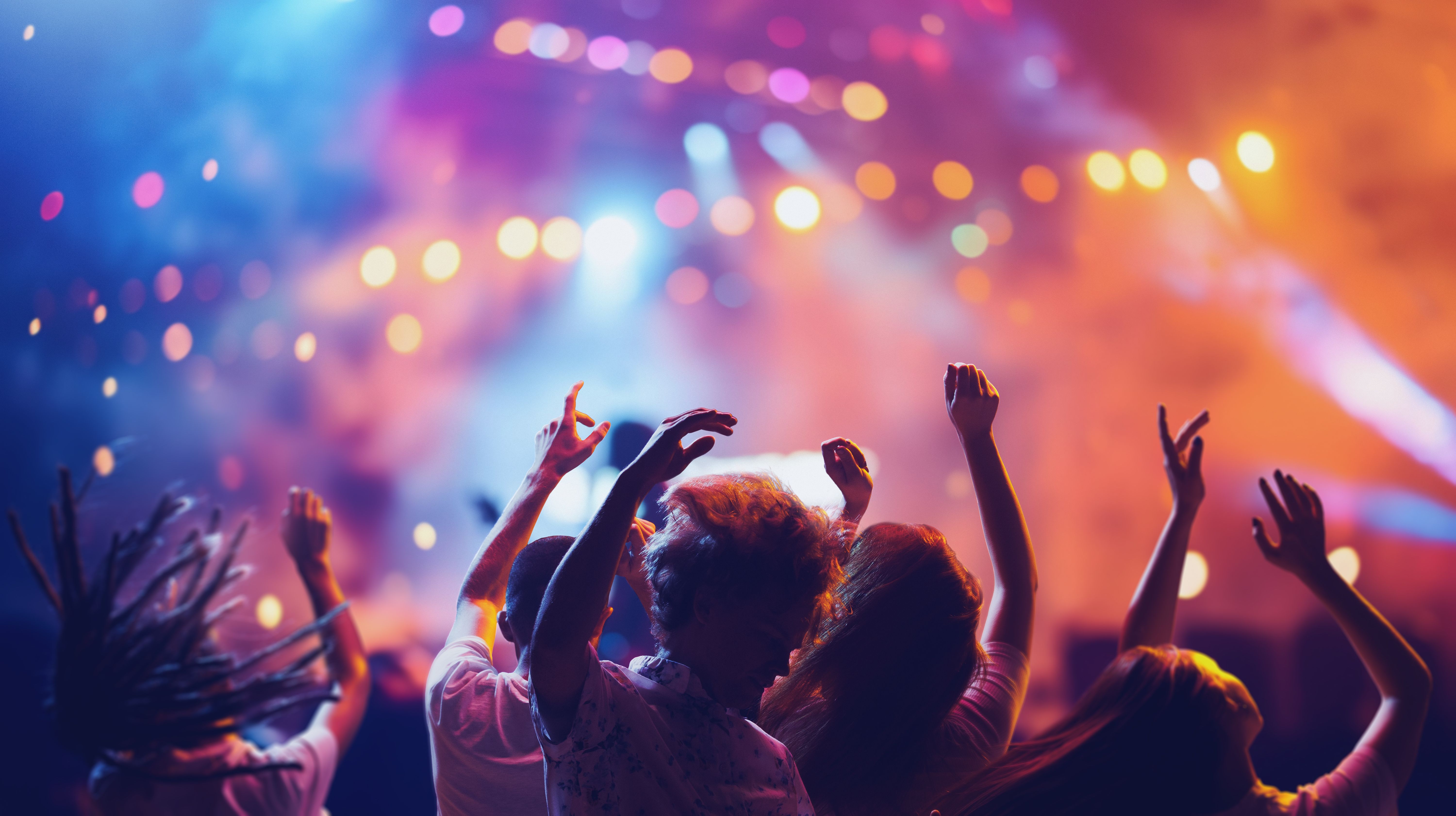Imatge d'un concert