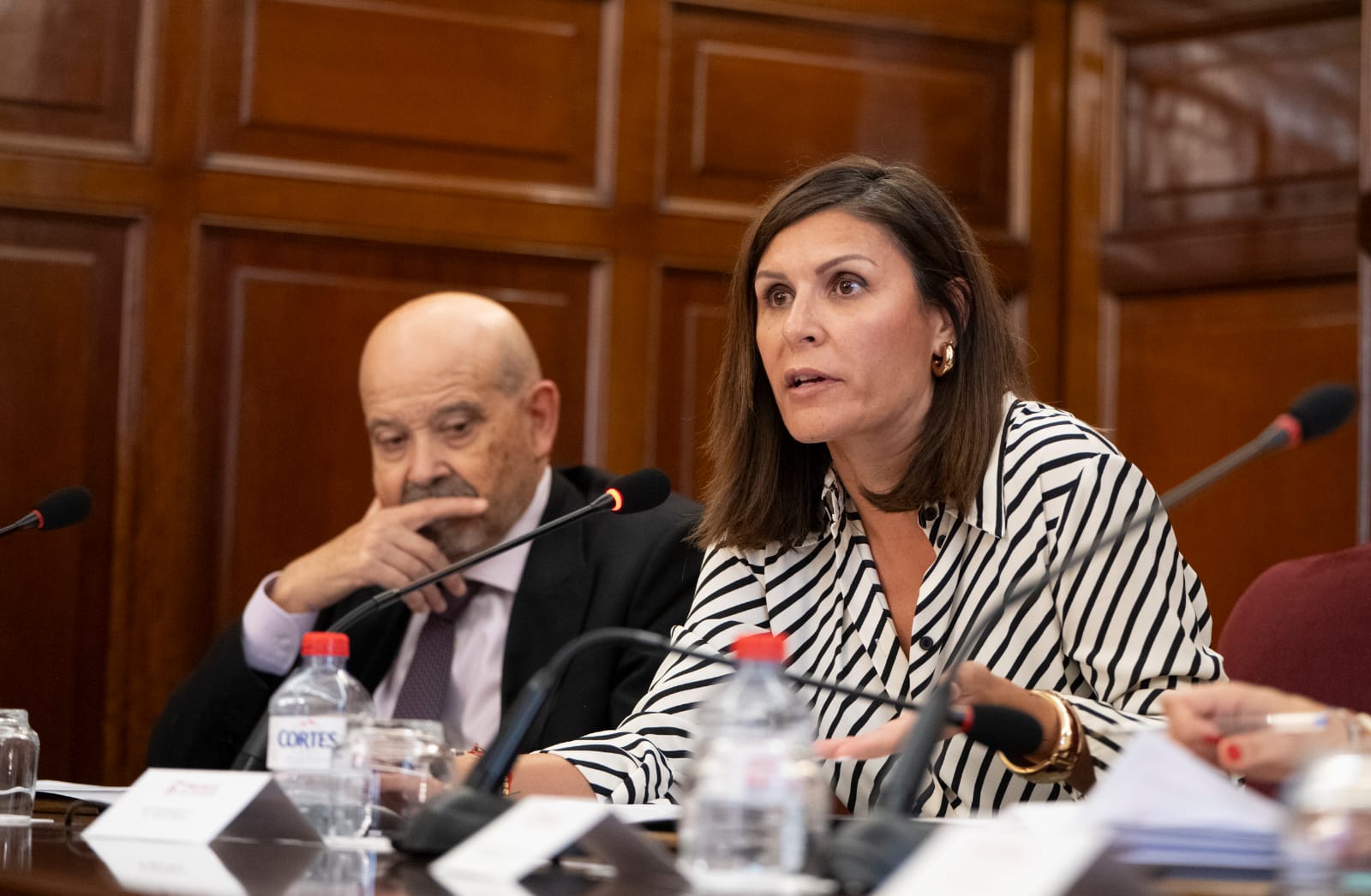 La vicepresidenta de la Diputació de Castelló, María Ángeles Pallarés